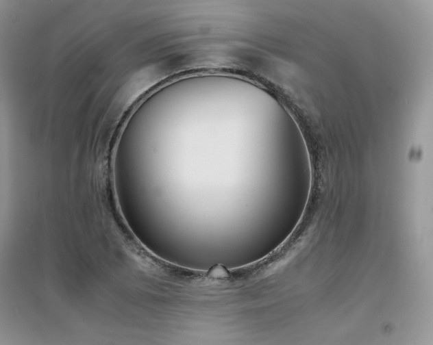 X0000094971073200711291458