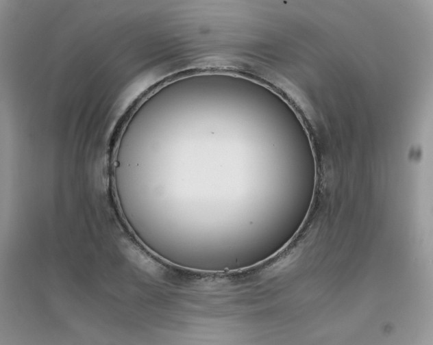 X0000094971075200711291458