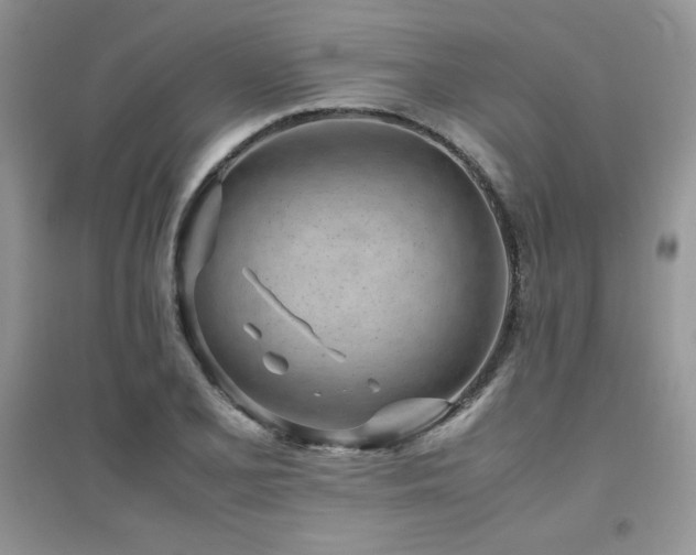 X0000094971077200711291458