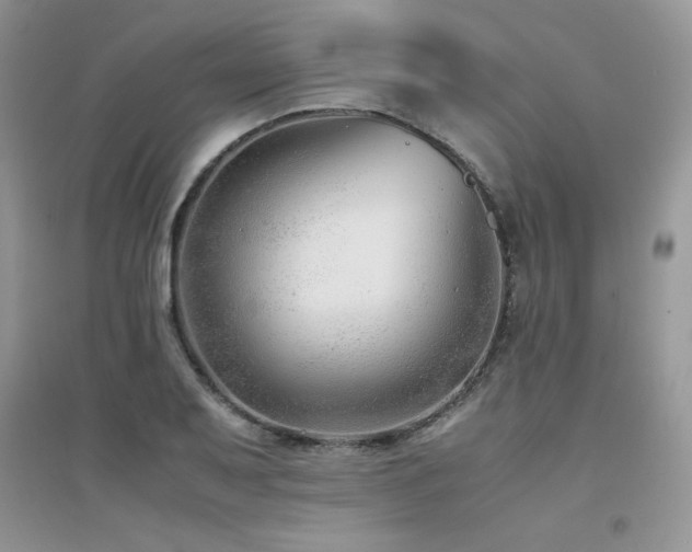 X0000094971079200711291458