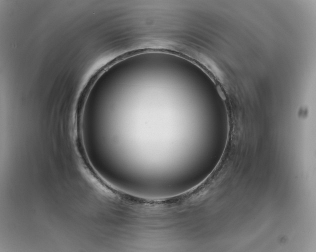 X0000094971080200711291458