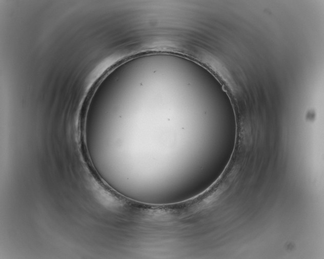 X0000094971082200711291458