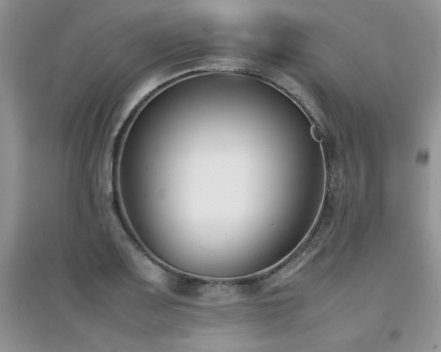 X0000094971083200711291458