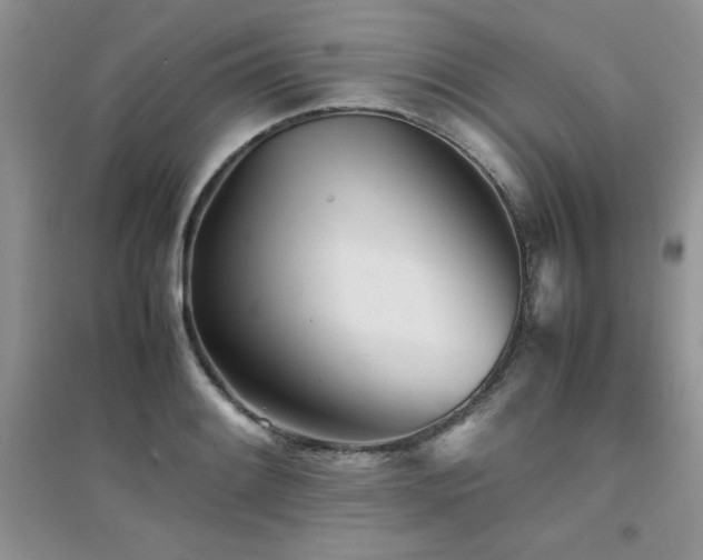 X0000094971084200711291458