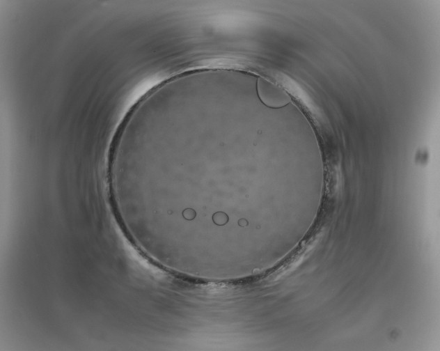 X0000094971087200711291458