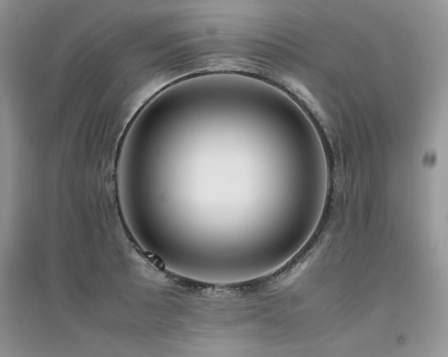 X0000094971089200711291458