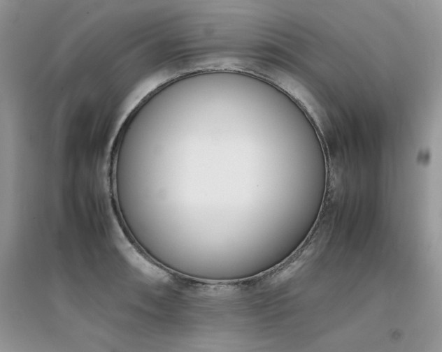 X0000094971090200711291458