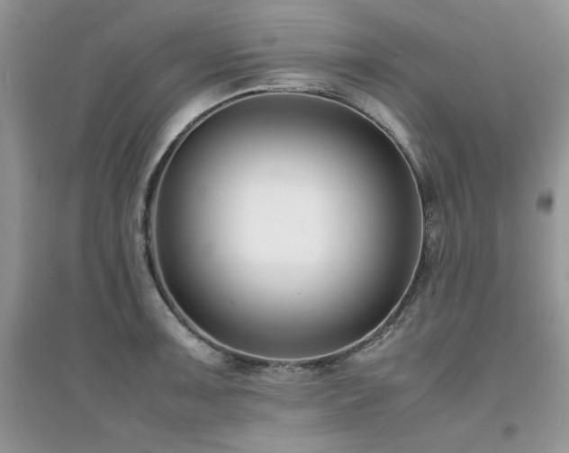X0000094971091200711291458