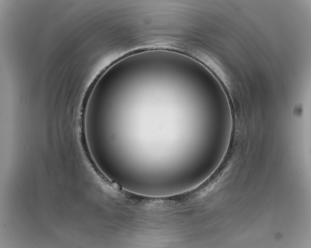 X0000094971093200711291458