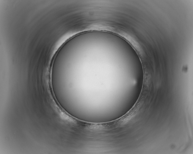 X0000094971094200711291458