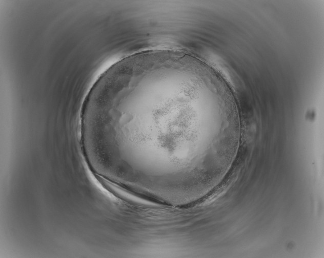 X0000094971095200711291458