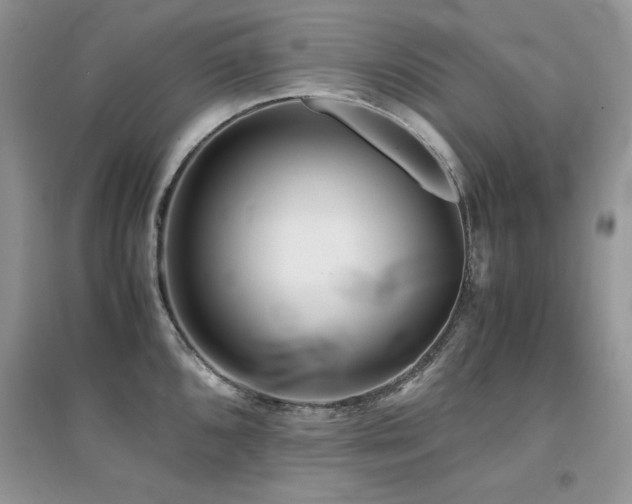 X0000094971096200711291458