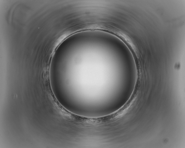 X0000094971097200711291458