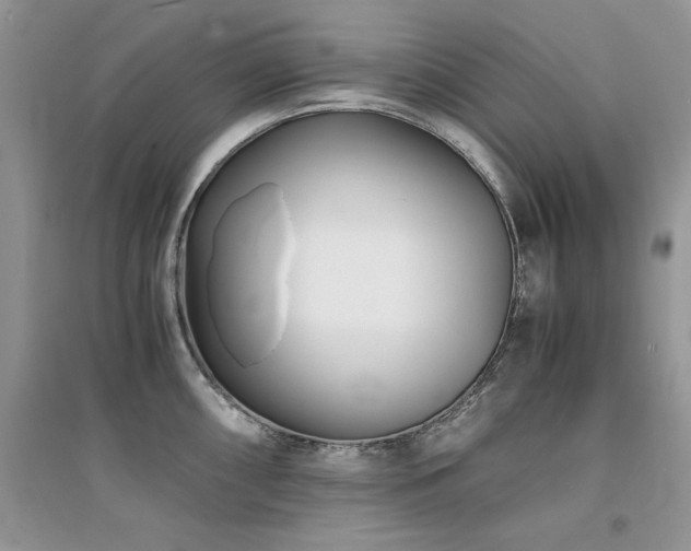 X0000094971098200711291458
