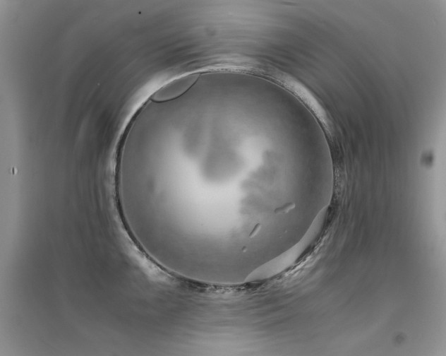 X0000094971099200711291458