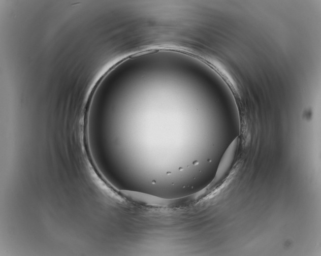 X0000094971100200711291458