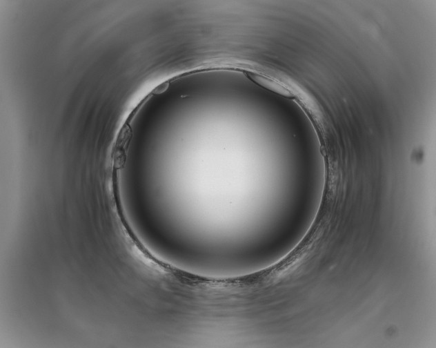 X0000094971102200711291458