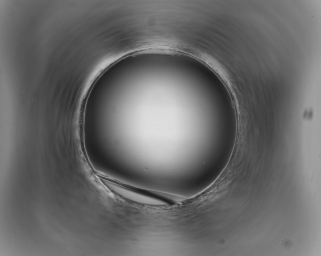 X0000094971104200711291458