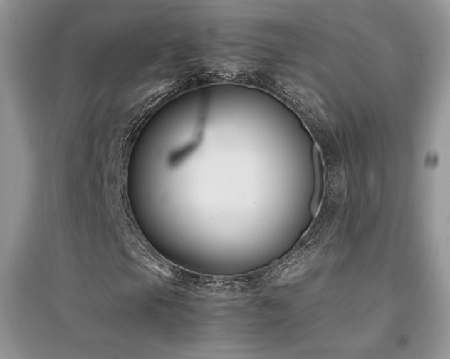X0000094971105200711291457