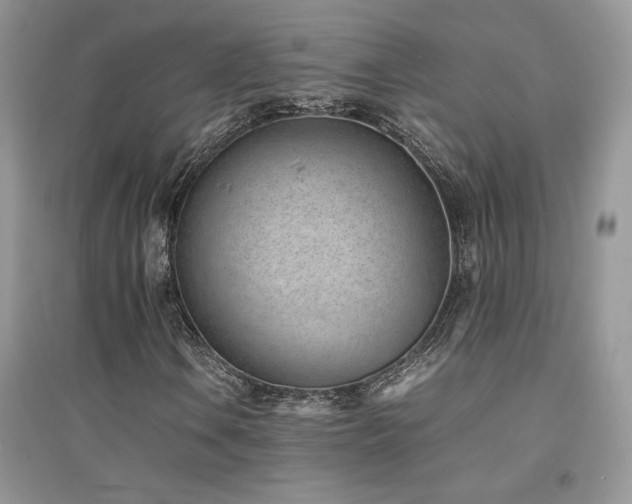 X0000094971106200711291457