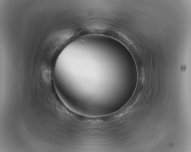 X0000094971108200711291457