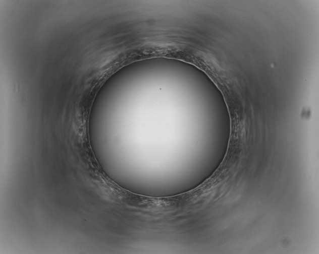 X0000094971109200711291457