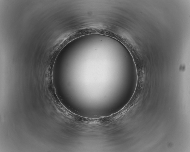 X0000094971110200711291457