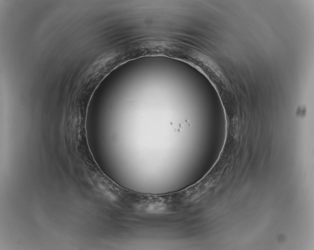 X0000094971111200711291457