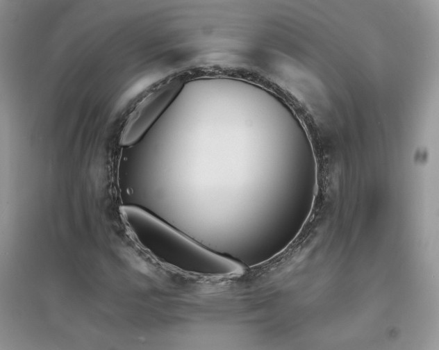 X0000094971112200711291457