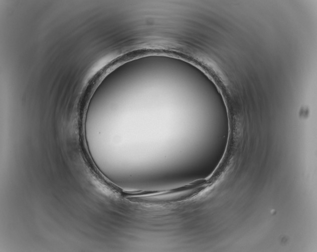 X0000094971114200711291457