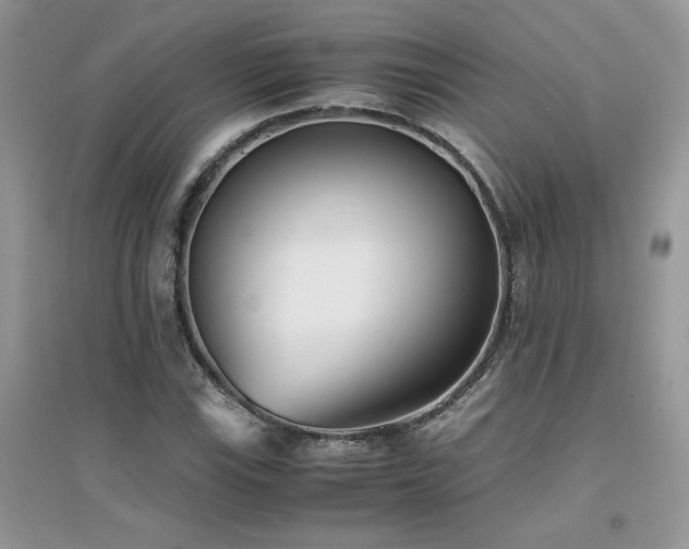 X0000094971115200711291457