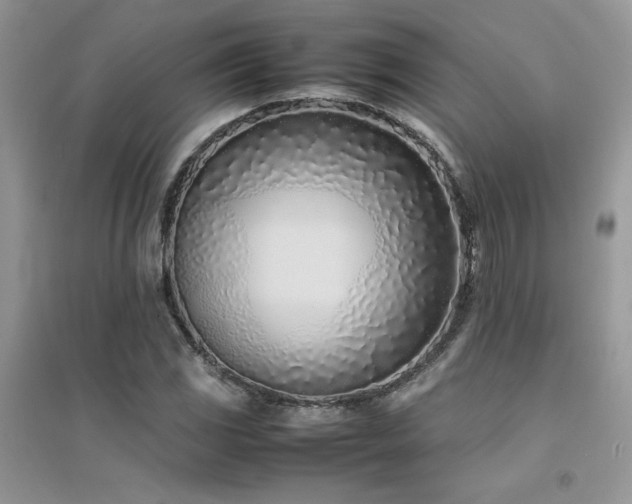 X0000094971117200711291457