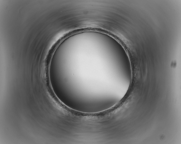 X0000094971118200711291457