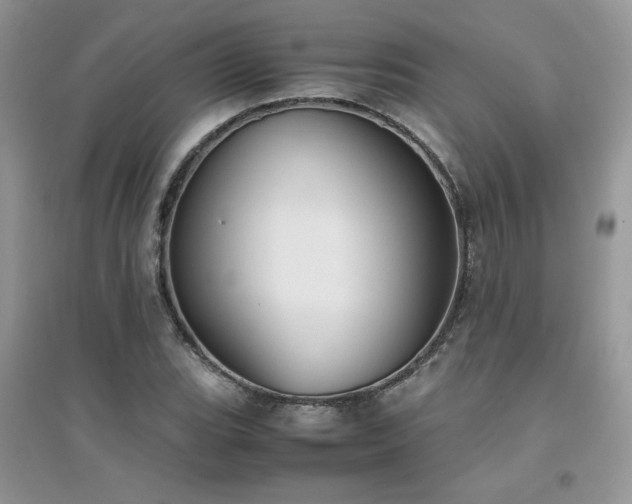 X0000094971119200711291457