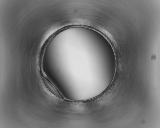 X0000094971120200711291457