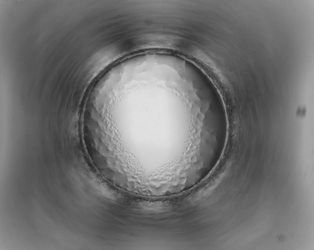 X0000094971121200711291457