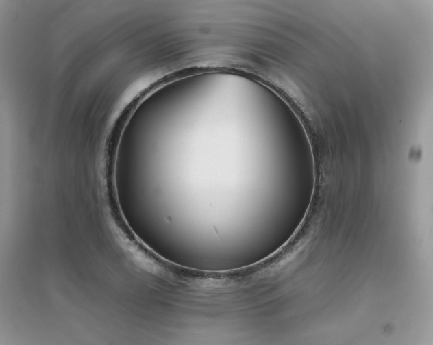 X0000094971122200711291457