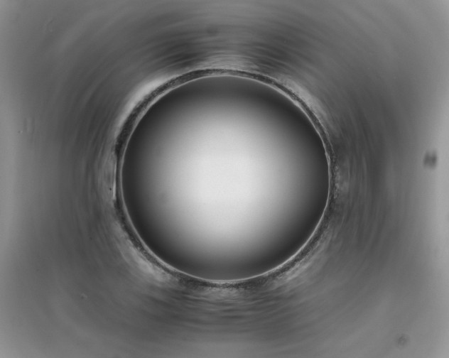 X0000094971123200711291457
