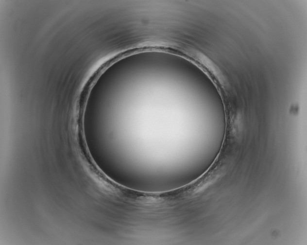 X0000094971124200711291457