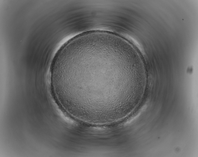 X0000094971125200711291457