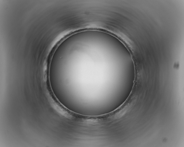 X0000094971126200711291457