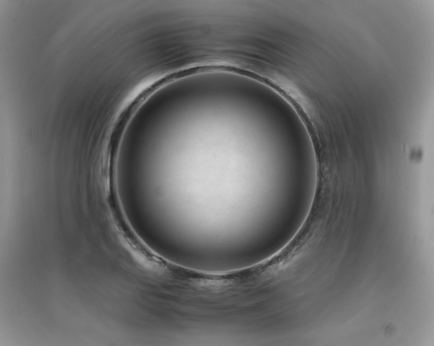 X0000094971127200711291457