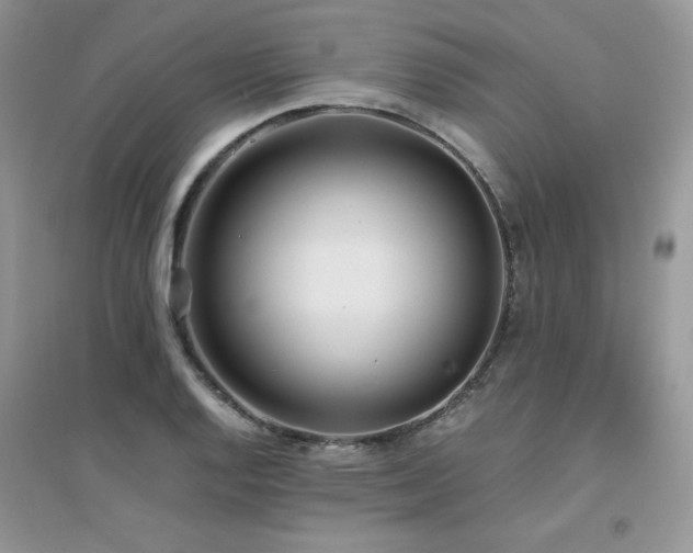 X0000094971128200711291457