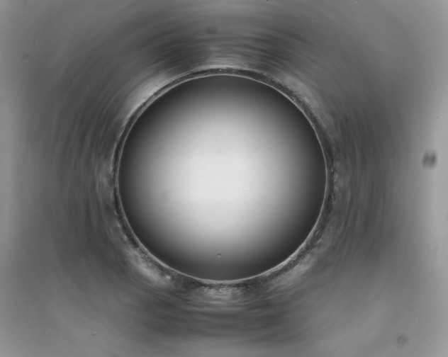X0000094971129200711291457