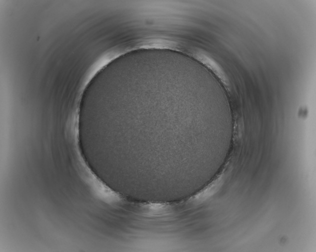 X0000094971130200711291457