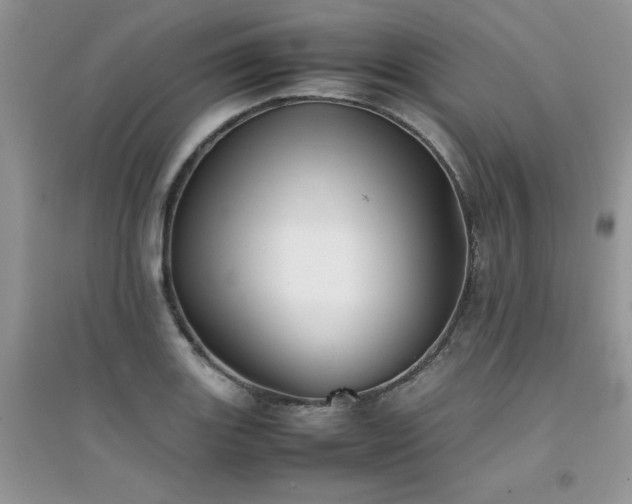 X0000094971131200711291457