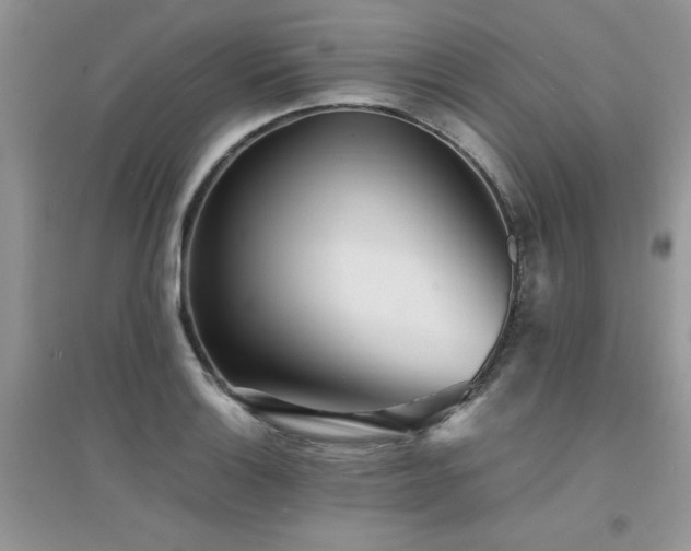X0000094971132200711291457
