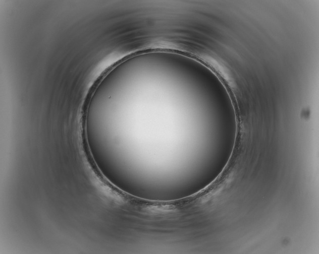X0000094971133200711291457