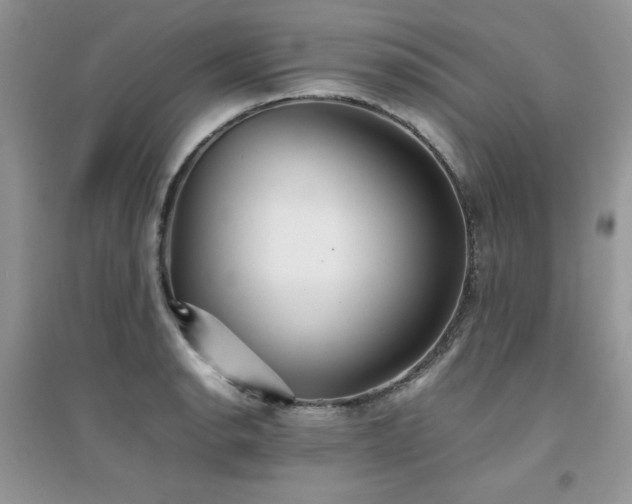 X0000094971134200711291457