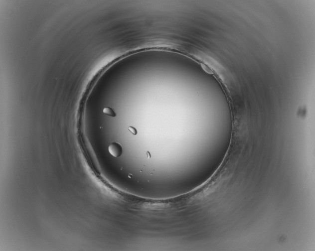 X0000094971135200711291457